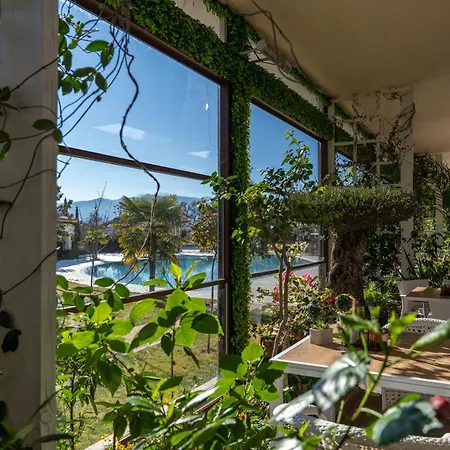Hotell Paradise 3*